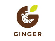 Ginger Software