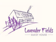 Lavender Fields - A Lifestyle Store