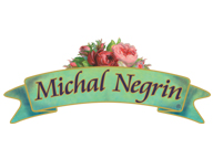 Michal Negrin