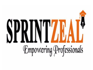 Sprintzeal Americas