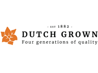 Dutch Grown