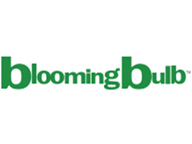 Blooming Bulb