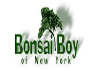 Bonsai Boy