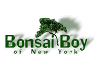 Bonsai Boy of New York