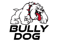 Bully Dog